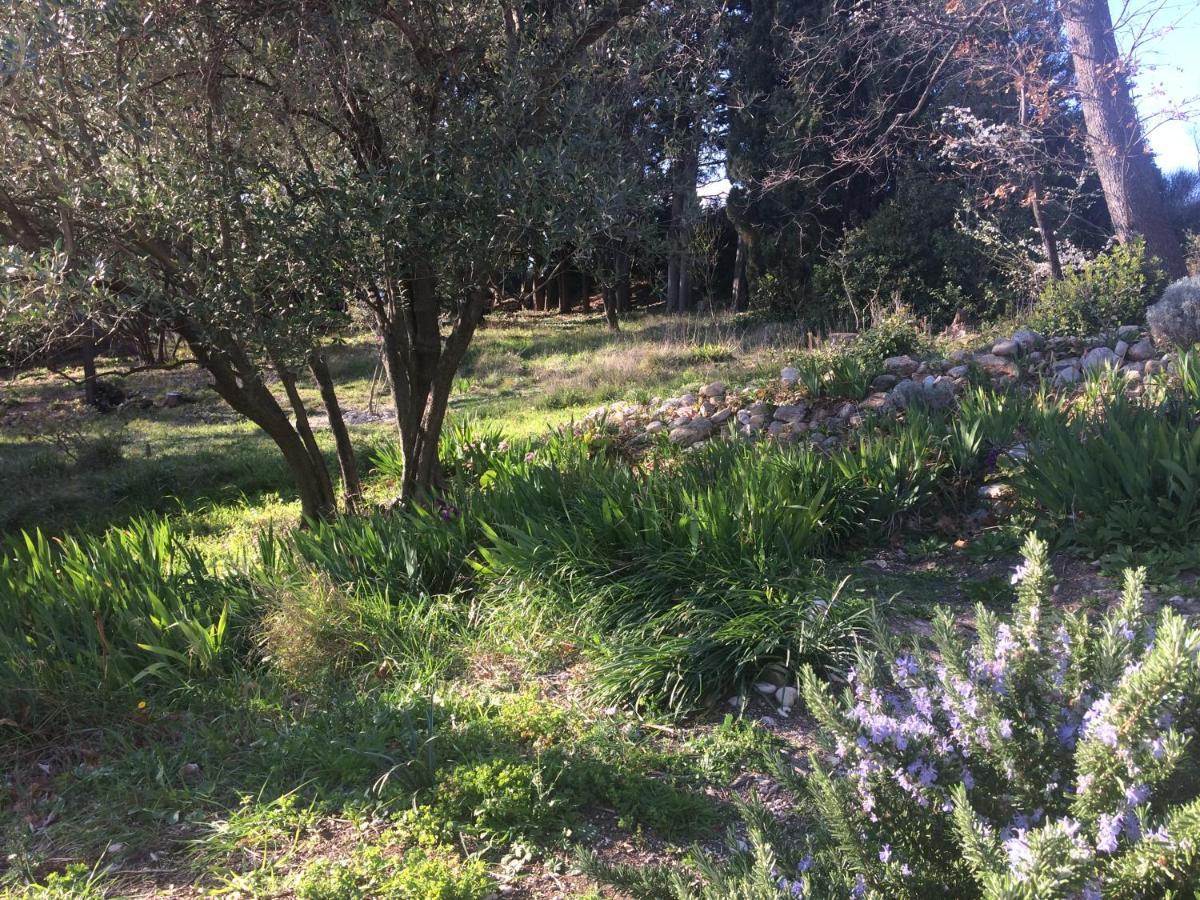 Domaine Fontaine Βίλα Visan Εξωτερικό φωτογραφία
