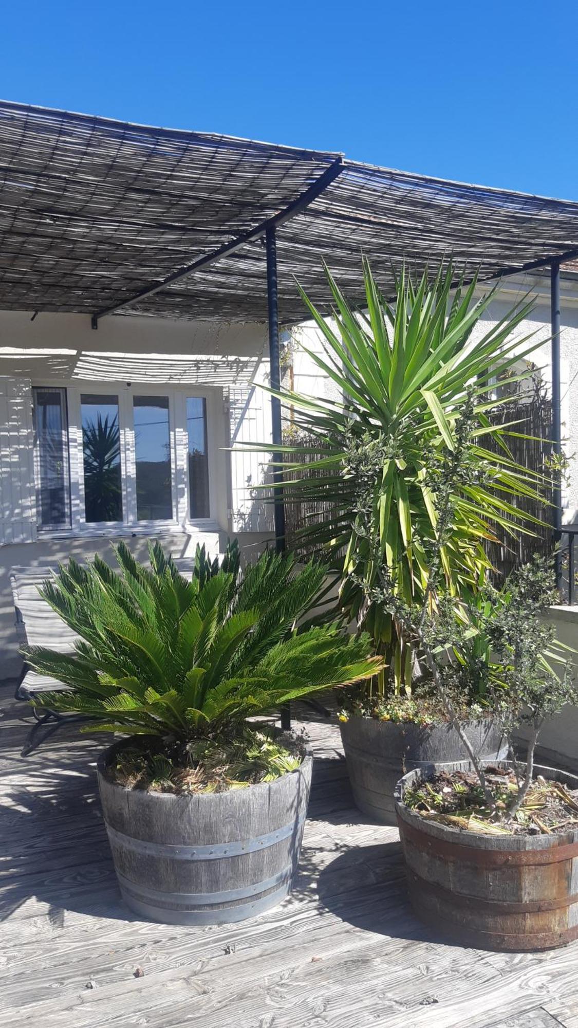 Domaine Fontaine Βίλα Visan Εξωτερικό φωτογραφία